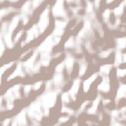 Paty do Alferes Terrain Map