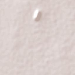 Tamasane Terrain Map