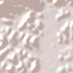 Casimiro de Abreu Terrain Map