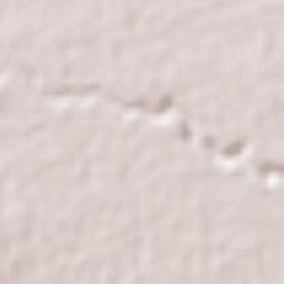 Tartagal Terrain Map