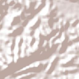 Pinheiral Terrain Map