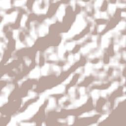 Engenheiro Paulo de Frontin Terrain Map