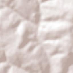 Paulistânia Terrain Map