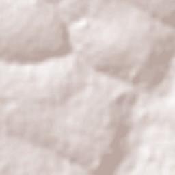 Campos Novos Paulista Terrain Map