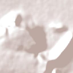 Maunatlala Terrain Map