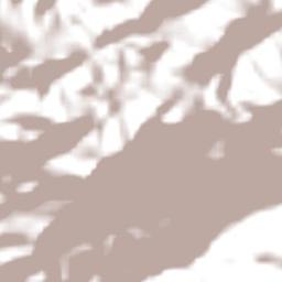 São Bento do Sapucaí Terrain Map