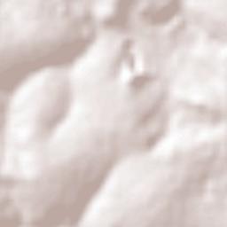 Paulínia Terrain Map