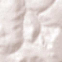 Centenário do Sul Terrain Map