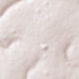 Ibirarema Terrain Map