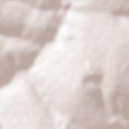 Florestópolis Terrain Map