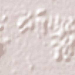 Itaguaí Terrain Map