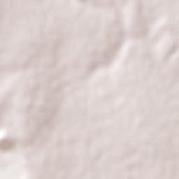 Aral Moreira Terrain Map