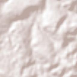 Campinas Terrain Map