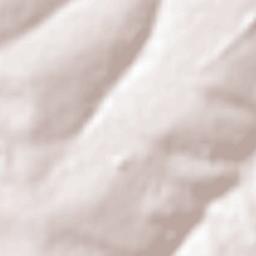 Cruzeiro do Sul Terrain Map