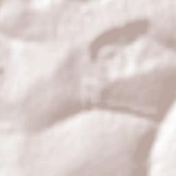 Miraselva Terrain Map