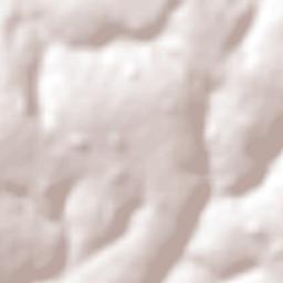 Bernardino de Campos Terrain Map