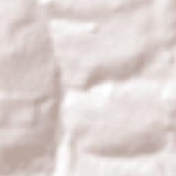 Alto Paraná Terrain Map