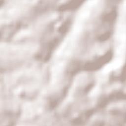 Rancho Alegre Terrain Map