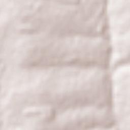 Planaltina do Paraná Terrain Map