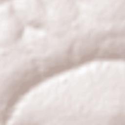 Flórida Terrain Map