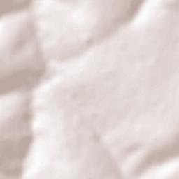 Munhoz de Melo Terrain Map