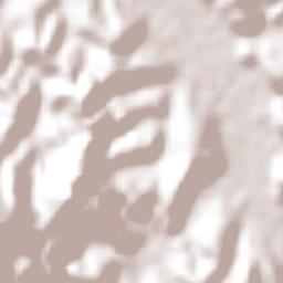 Bom Jesus dos Perdões Terrain Map