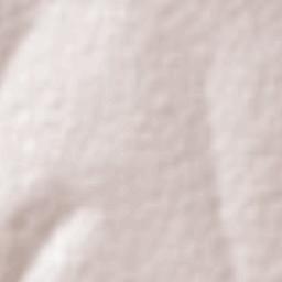 Santa Mônica Terrain Map