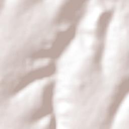 Pitangueiras Terrain Map