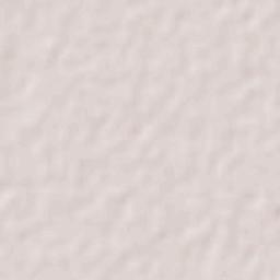 General Enrique Mosconi Terrain Map