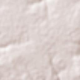 Capitán Bado Terrain Map