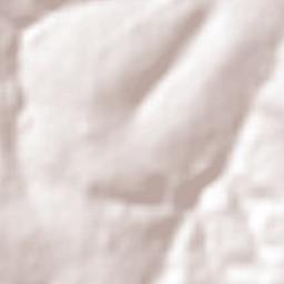 Presidente Castelo Branco Terrain Map