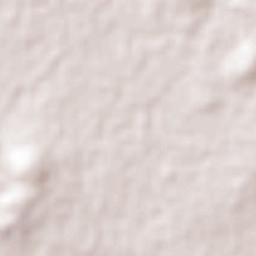 Alton Downs Terrain Map