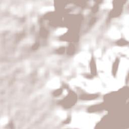 Parkhurst Terrain Map