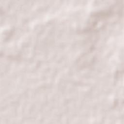 Concepción Terrain Map