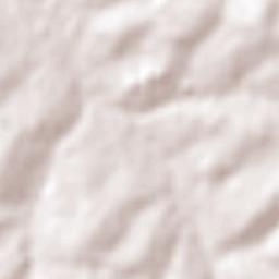 Icaraíma Terrain Map