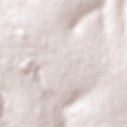 Maringá Terrain Map