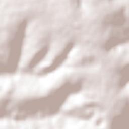 Arapongas Terrain Map