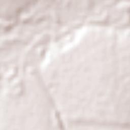 Tacuatí Terrain Map