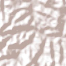 Santana de Parnaíba Terrain Map