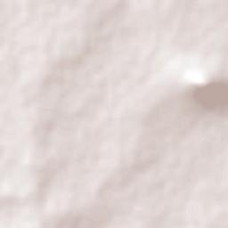 Capricorn District Municipality Terrain Map