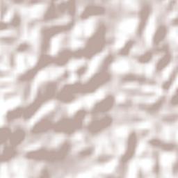 Carapicuíba Terrain Map