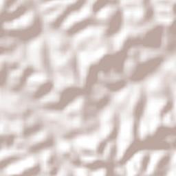 Ferraz de Vasconcelos Terrain Map