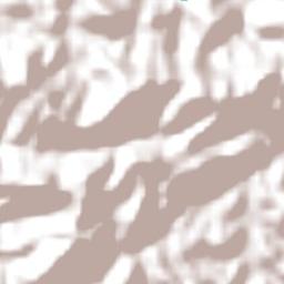 Salesópolis Terrain Map