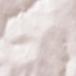 Floresta Terrain Map