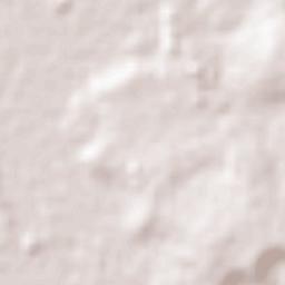 Campina do Monte Alegre Terrain Map