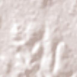 São Caetano do Sul Terrain Map