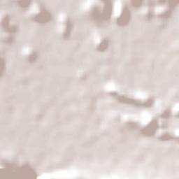 Desert Springs Terrain Map