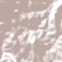 Sapopema Terrain Map