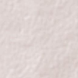 Longreach Terrain Map