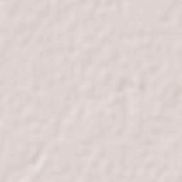 Ingeniero Guillermo N. Juárez Terrain Map